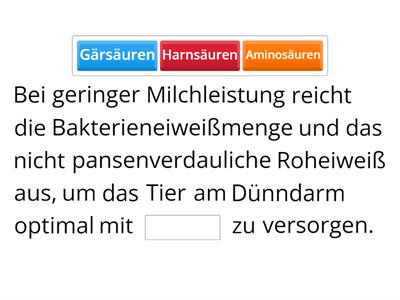 Eiweißverdauung der Milchkuh