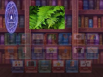 medial and final r find the match