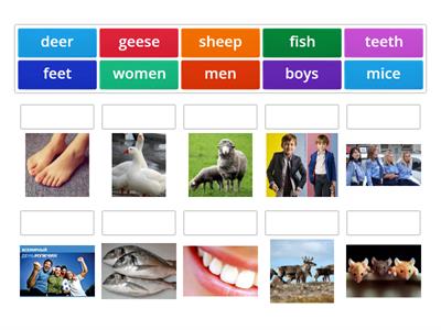 Rainbow English 5 Unit 6 Step 5