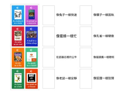 英文動物片語釋義