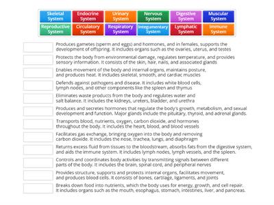 Human Body Systems