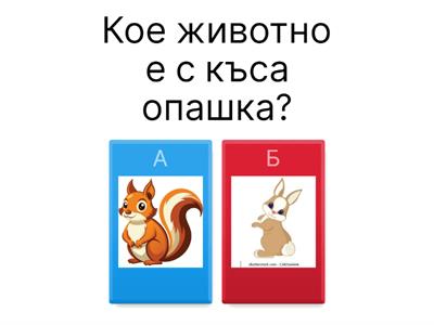 Математика