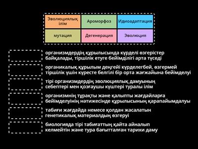 Жасөспірімдердің үйдегі нәзік секс