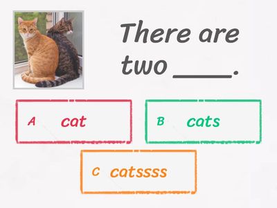  Academy Stars 1 Plurals