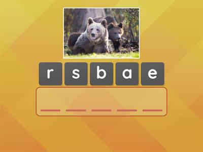  G4. Unit 4- Animals Spelling