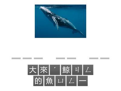 (拼寫注音_單詞)112康軒G5B_L07_圖詞配對