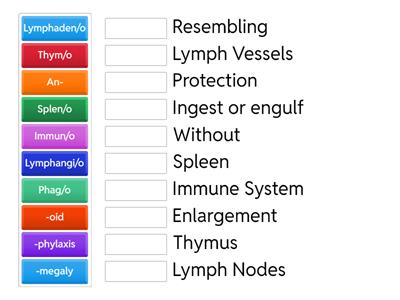 Lymphatic System Medical Terminology