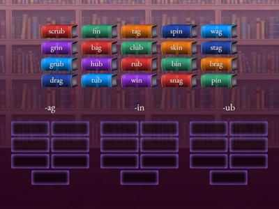 Word Families -ag, -in, -ub