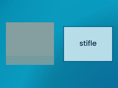 FR.14 Unit 2 words related to charity