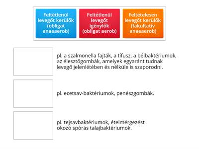 Mikroorganizmusok levegő- és oxigénigény szerinti csoportosítása