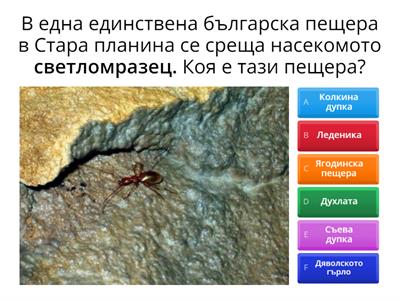 Пещерите в България