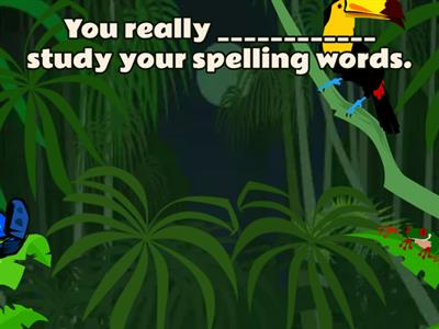 Modal Auxiliary Verbs