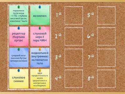 Переработка слуховой информации