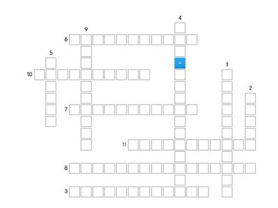 Observation Crossword