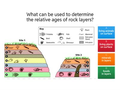  Fossils - Relative Dating