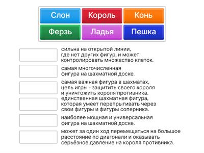 Шахматы и их функции 