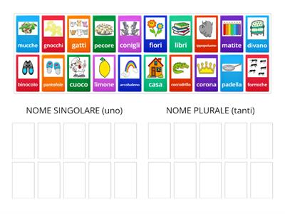 Italiano - singolare o plurale 1