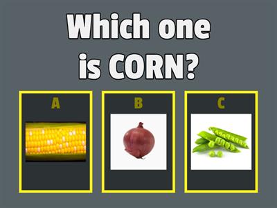 TOPIC 4 (EASY/BEGINNER)