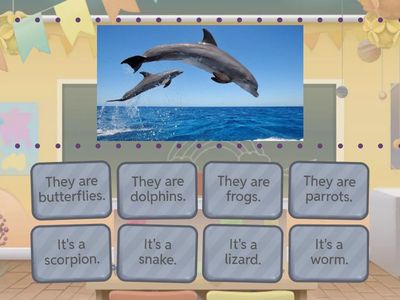 What is it? What are they? Animals