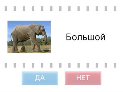 Какой? Какая? Какое? (Light)