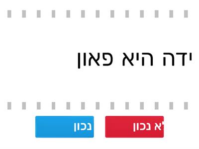 גופים - נכון או לא נכון