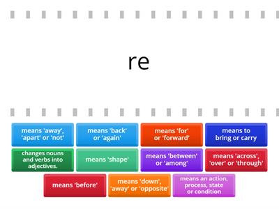 Find the Match: Morphology Retrieval Term One/Two 2024 (4-6)