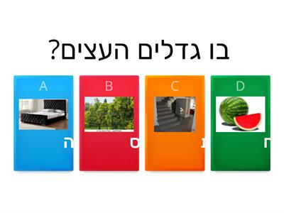 חידון טו בשבט