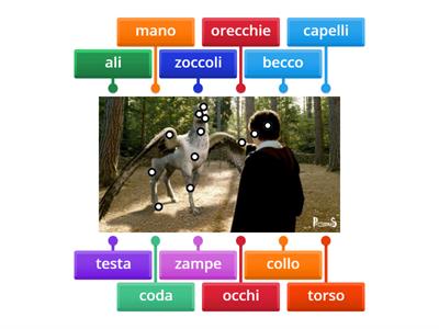 Harry Potter e l'ippogrifo