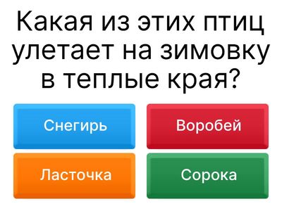 Окружающий мир 