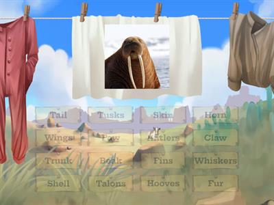 ANIMAL BODY PARTS CODE 3