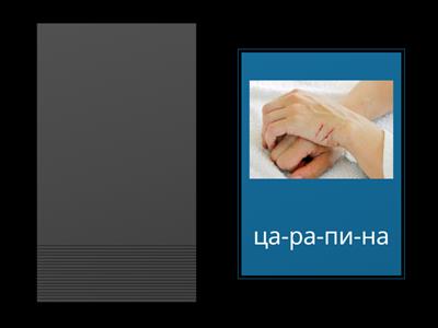 слова Ц билингвы