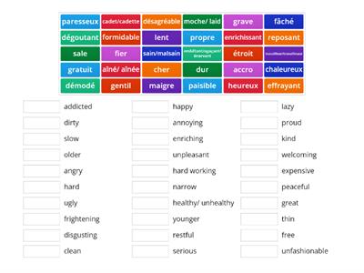 KS4 french adjectives