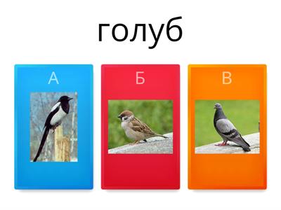 Птахи вікторина