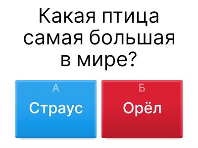 Окружающий мир 4 класс
