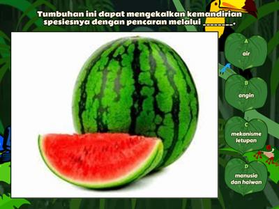 Sains Tahun 5 : PENCARAN BIJI BENIH