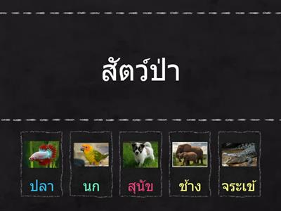 เลือกคำตอบให้ถูกต้อง