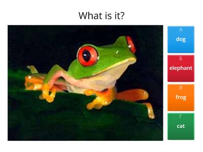 Academy Stars D, e, f