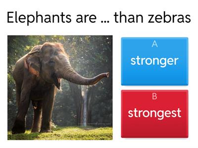 Comparative and superlative