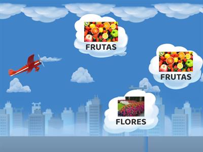 7. FLOR OU FRUTA - AVIÃO