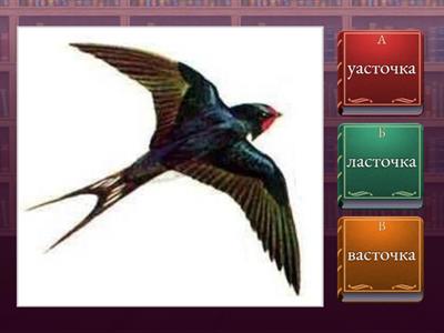 Звук Л в начале слов. Выбери правильное слово