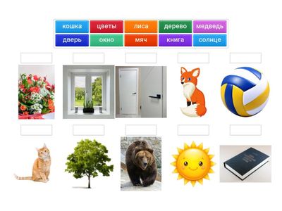 Сопоставь слова и картинки 2