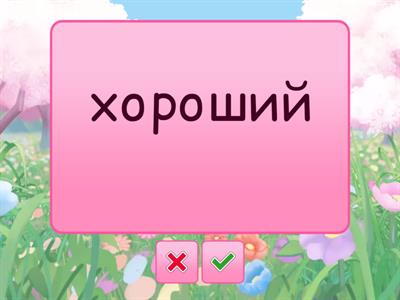 Irregular comparative forms (РКИ)