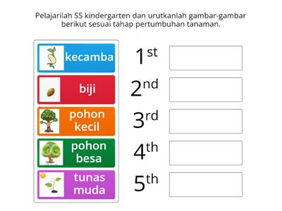 Kindergarten YAQ4L9