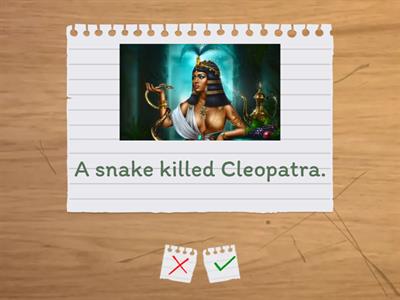 Complete Preliminary Unit 11 - The passive