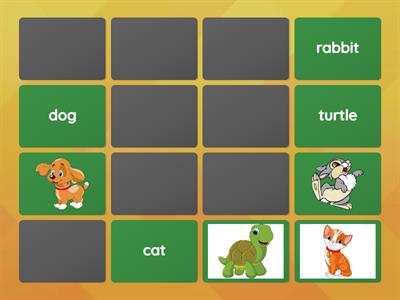 3o ano animals vocabulary