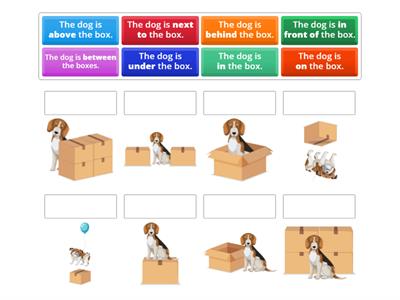 Matching Prepositions of Place: The dog is ___ the box.