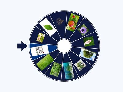 Power Up 3. Cross-curricular, 4 unit