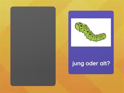 ADJEKTIVE für KINDER - einfache Adjektive 