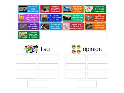 Fact and Opinion Sort