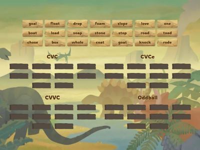 Yellow Group - Sort 14